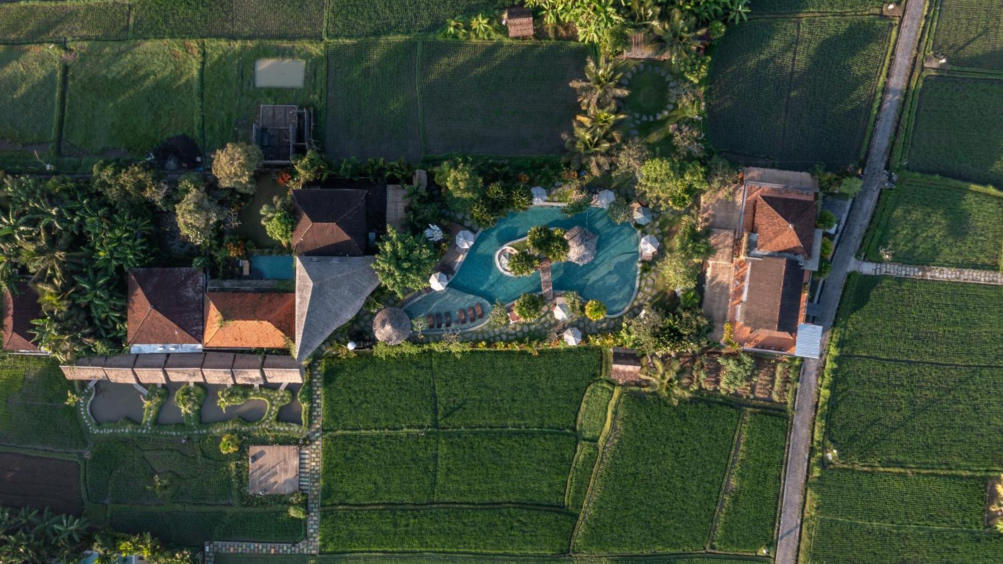 Candy Villa By Pramana Villas Убуд Екстериор снимка